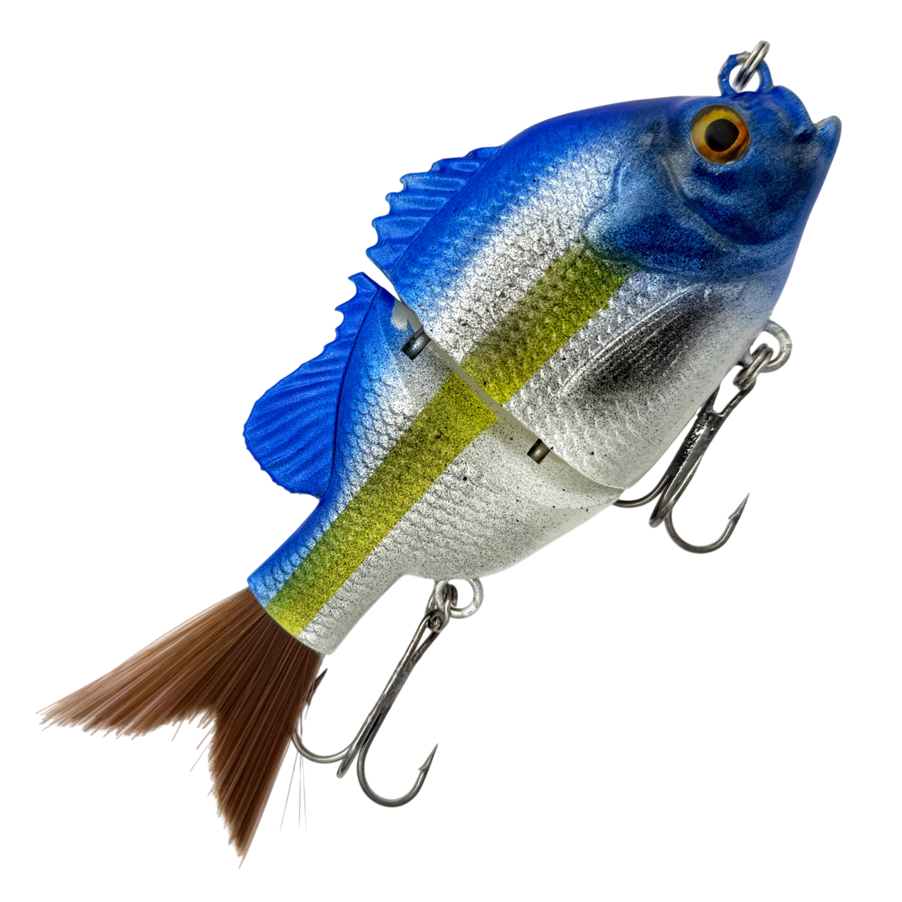 Bluegill