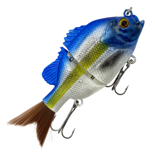 Bluegill