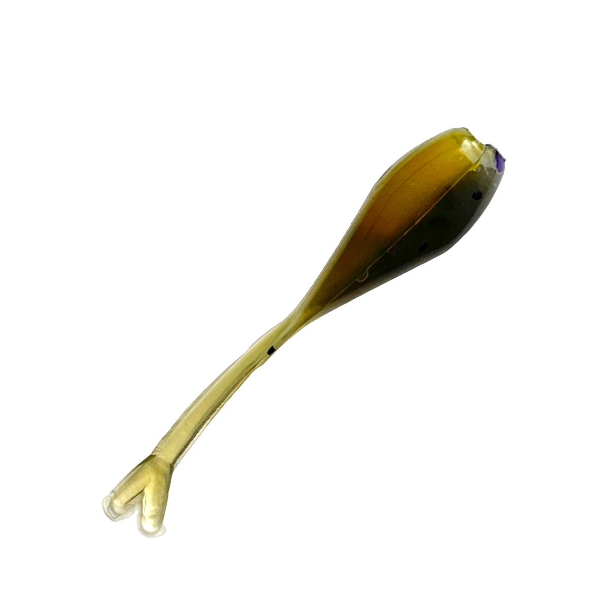 1" Fry (20pcs)