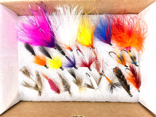 Salmon / Steelhead Flies Boxset (20pcs)