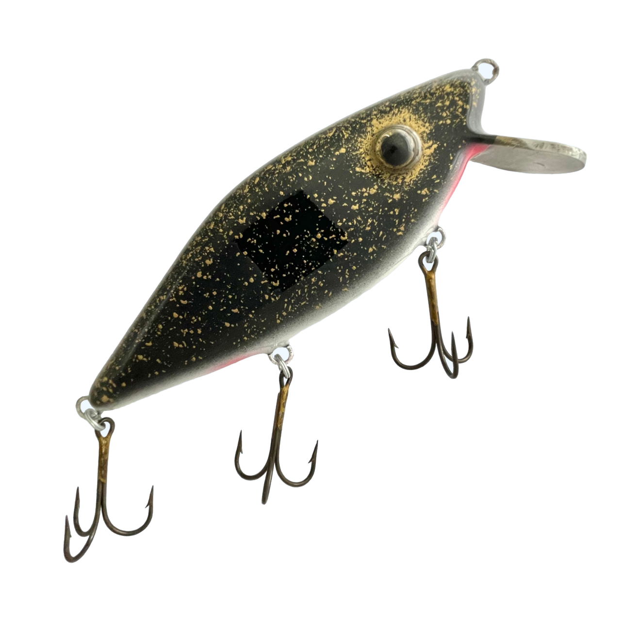 8" Shad