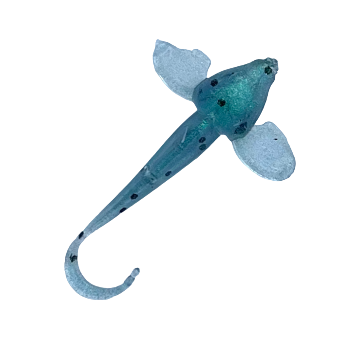 1.5" Gobies (6pcs)