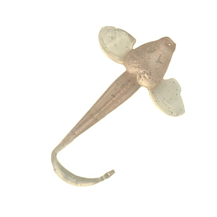 1.5" Gobies (6pcs)