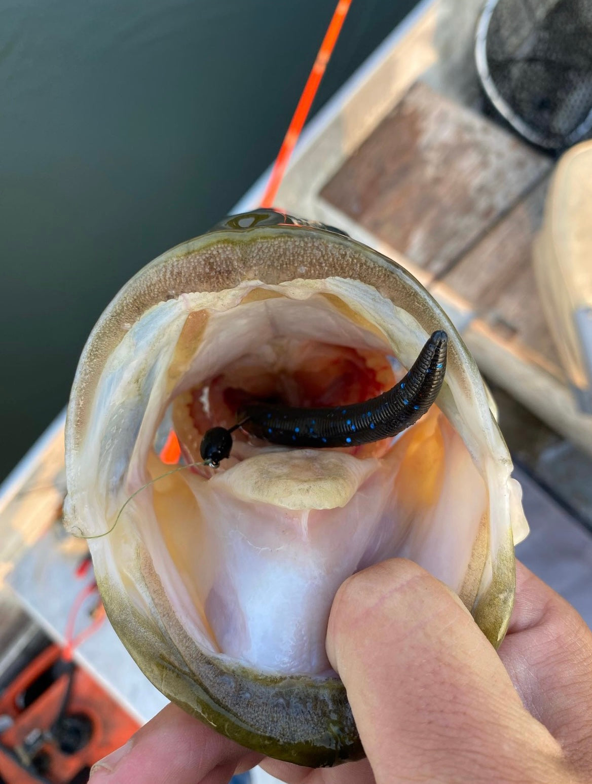 5" Salted Stickbaits (8pcs)