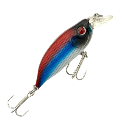 2.5" Shallow Diver