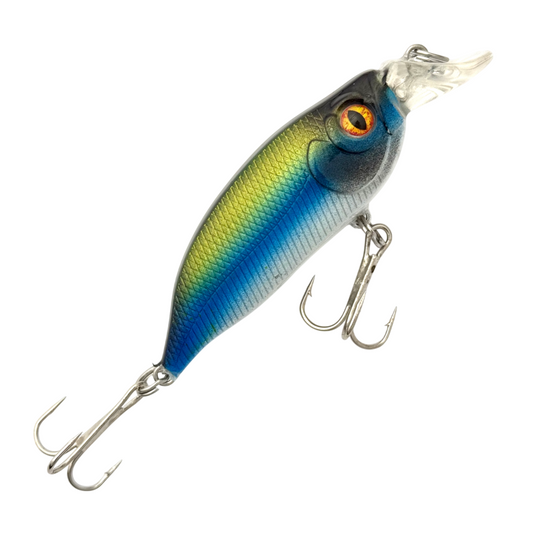 2.5" Shallow Diver