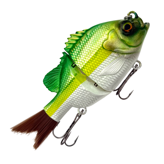 Bluegill