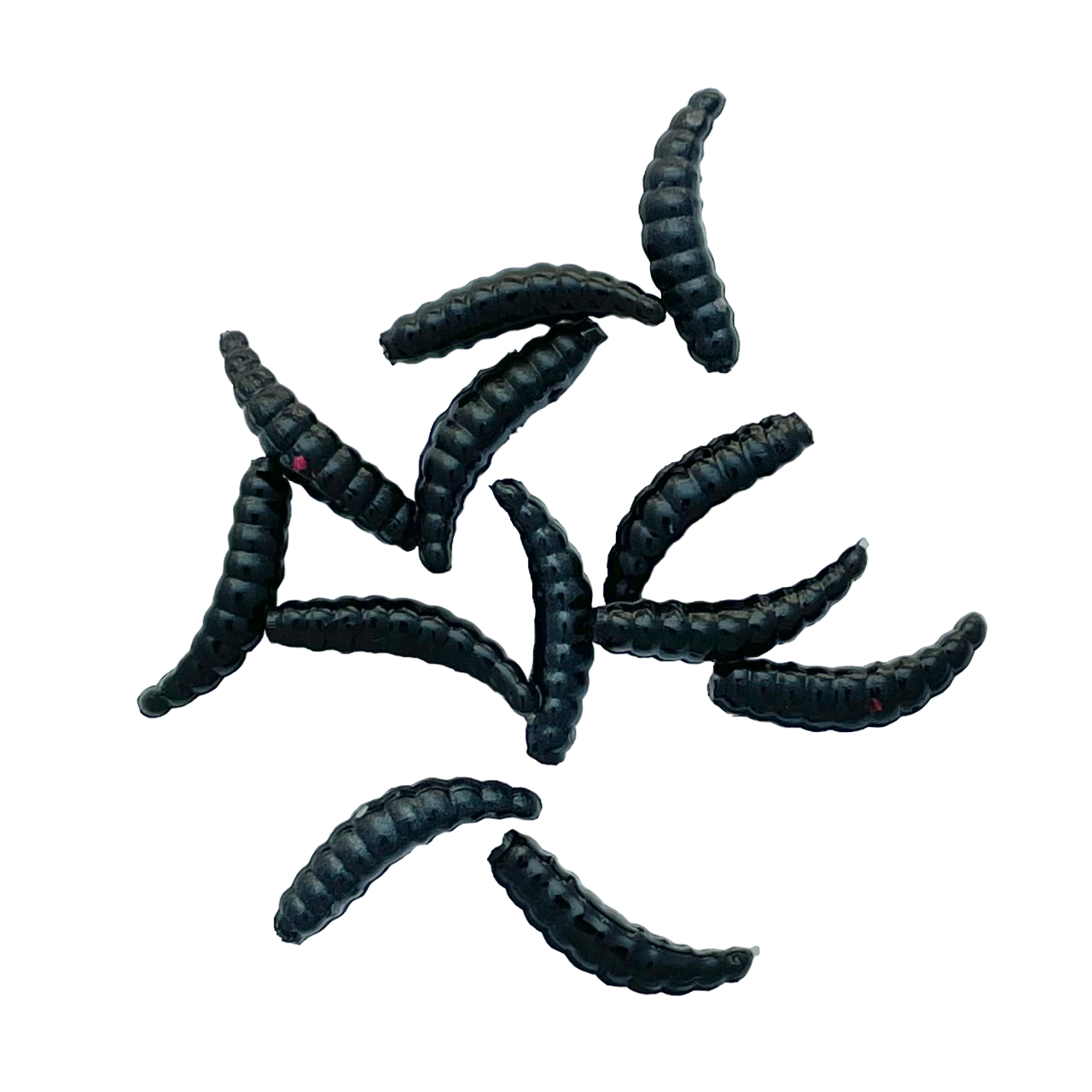 0.6" Honeyworms (12pcs)