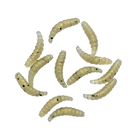 0.6" Honeyworms (12pcs)
